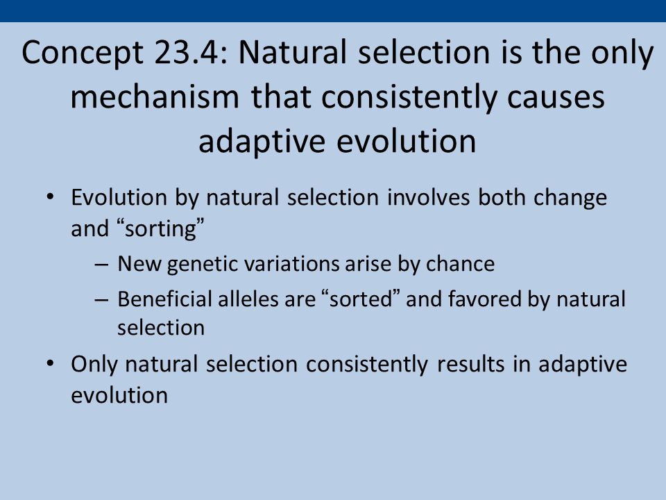 Evolutionary perspective natural selection and adaptive